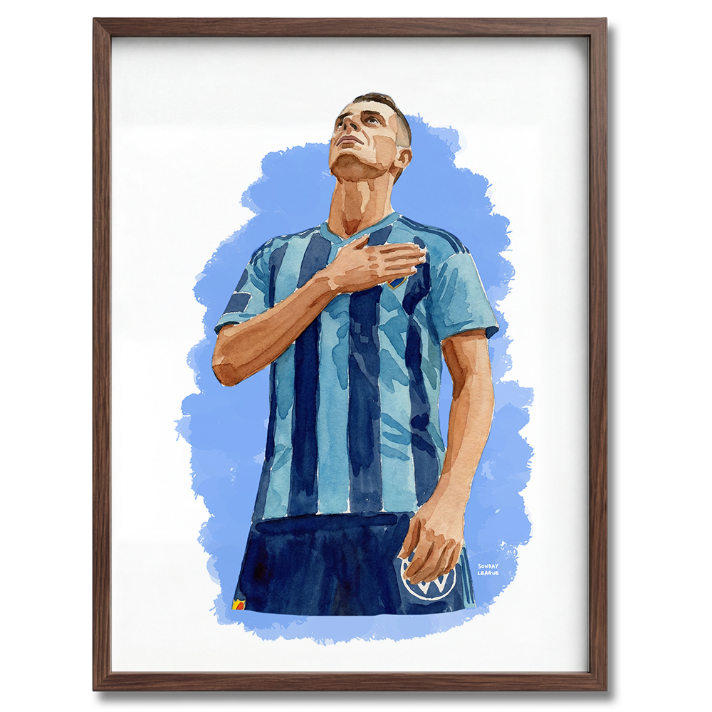 Haris - Djurgården Poster