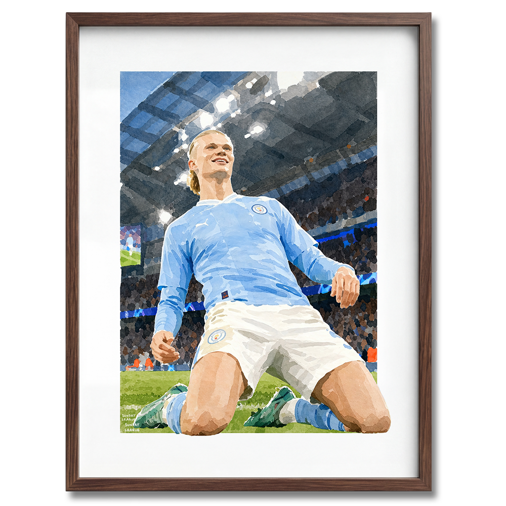 Haaland - Poster